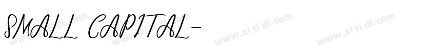 SMALL CAPITAL字体转换